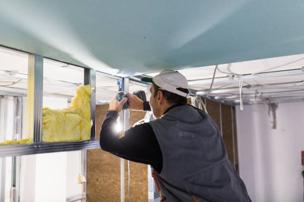 Best Types of Insulation in Bangs, TX