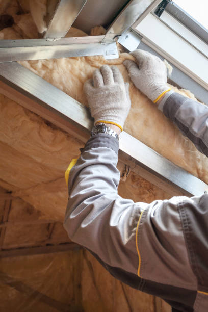 Professional Insulation Contractor in TX